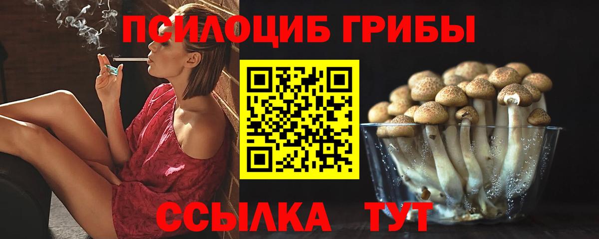 Псилоцибиновые грибы MAGIC MUSHROOMS Ефремов